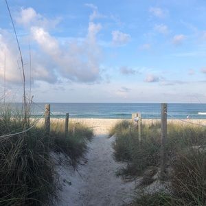 Meet your Posher, Brook